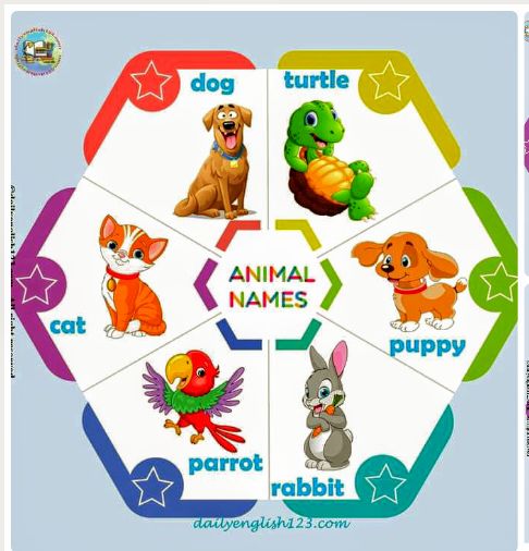 Animal name/printable book/CVC/Sight words