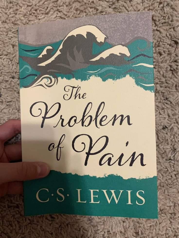 the problem of pain