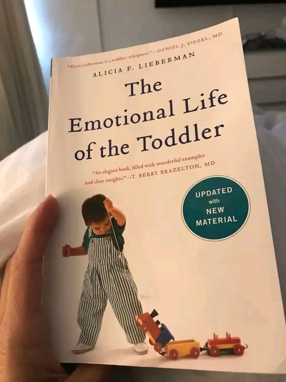 The emotional life of the toddler